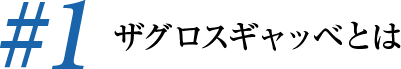 ザグロスギャッベとは