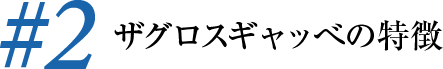 ザグロスギャッベの特徴