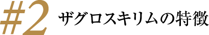 ザグロスキリムの特徴